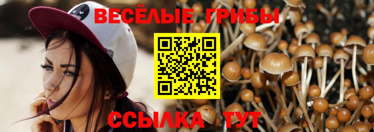 Псилоцибиновые грибы прущие грибы  Вход с VPN  Галлюциногенные грибы ЛСД  Дубна 